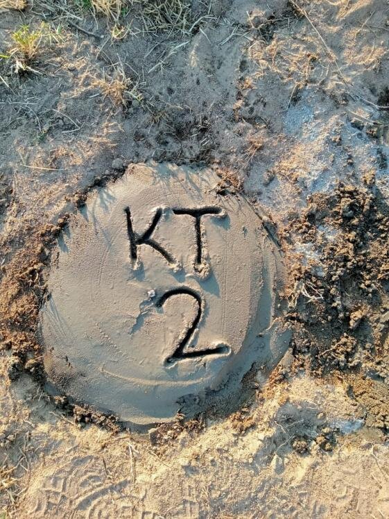 Concrete survey marker labelled KT 2 set in the ground